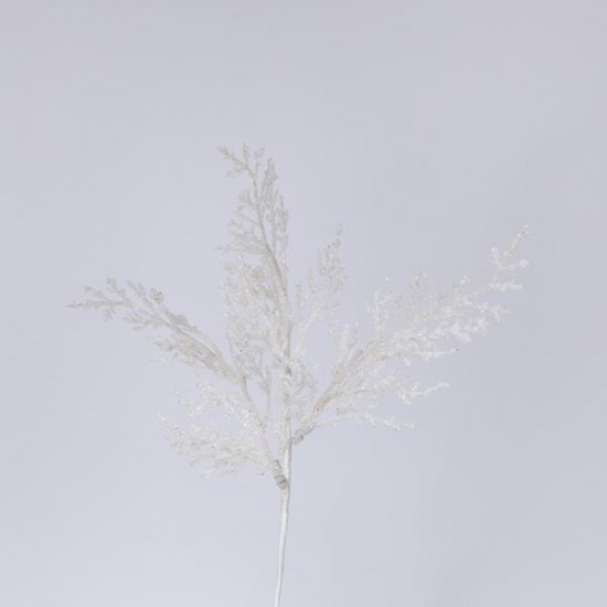 ΦΤΕΡΗ ΛΕΥΚΗ, 28cm, ΣΕΤ 2ΤΜΧ (TOP 120)